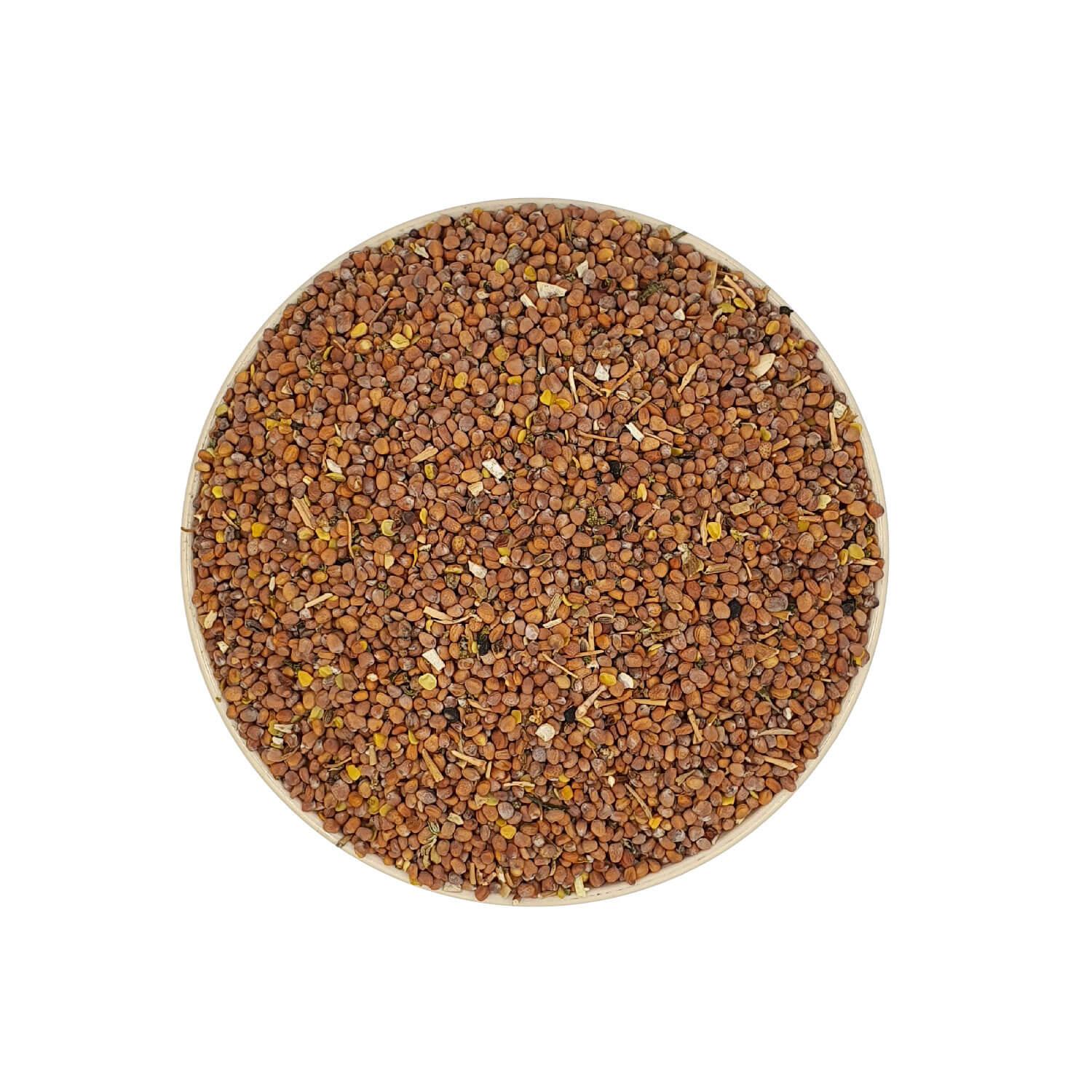 Turp Tohumu 1 Kg